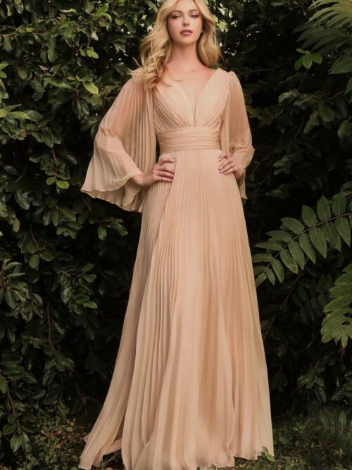 PLEATED CHIFFON LONG SLEEVE GOWN
